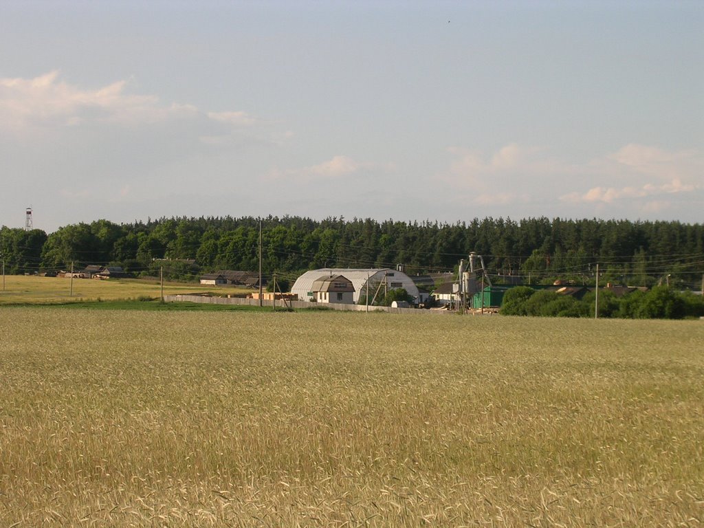 Смалярня і тартак