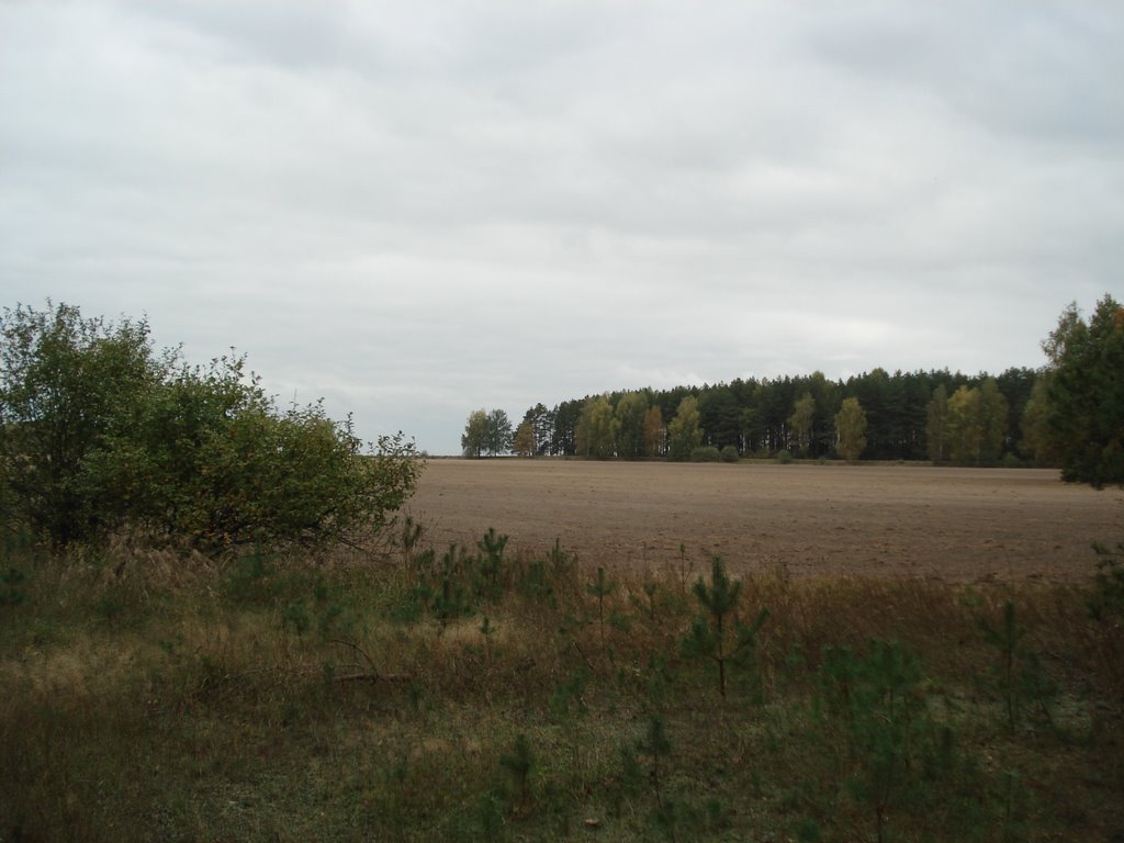 Дарога на Нізок