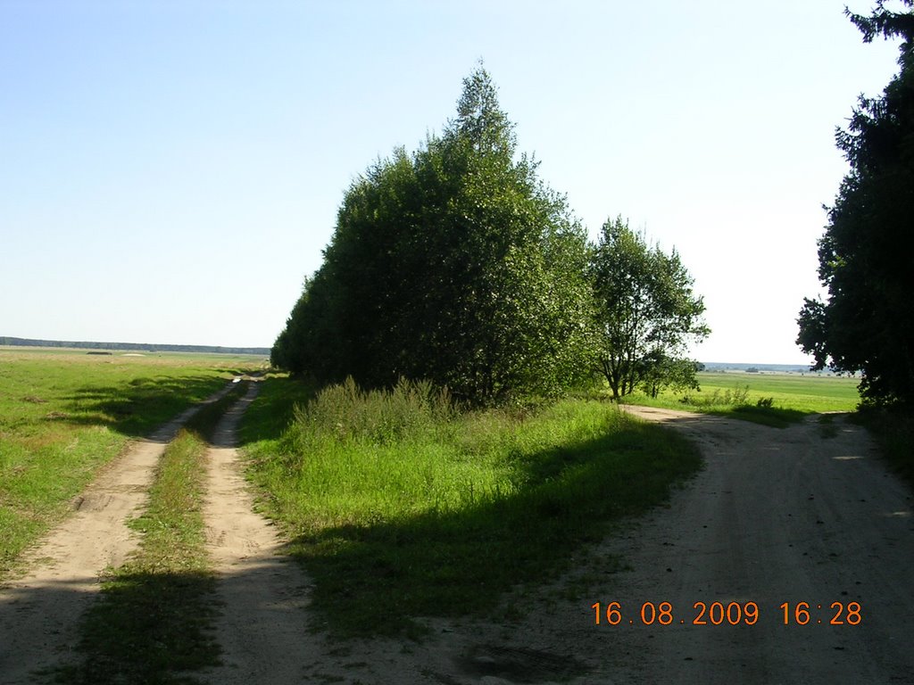 Дарога на Нізок