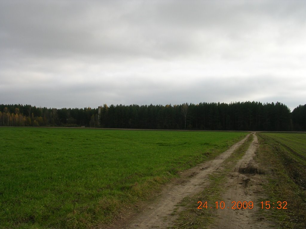 За Тычынкамі