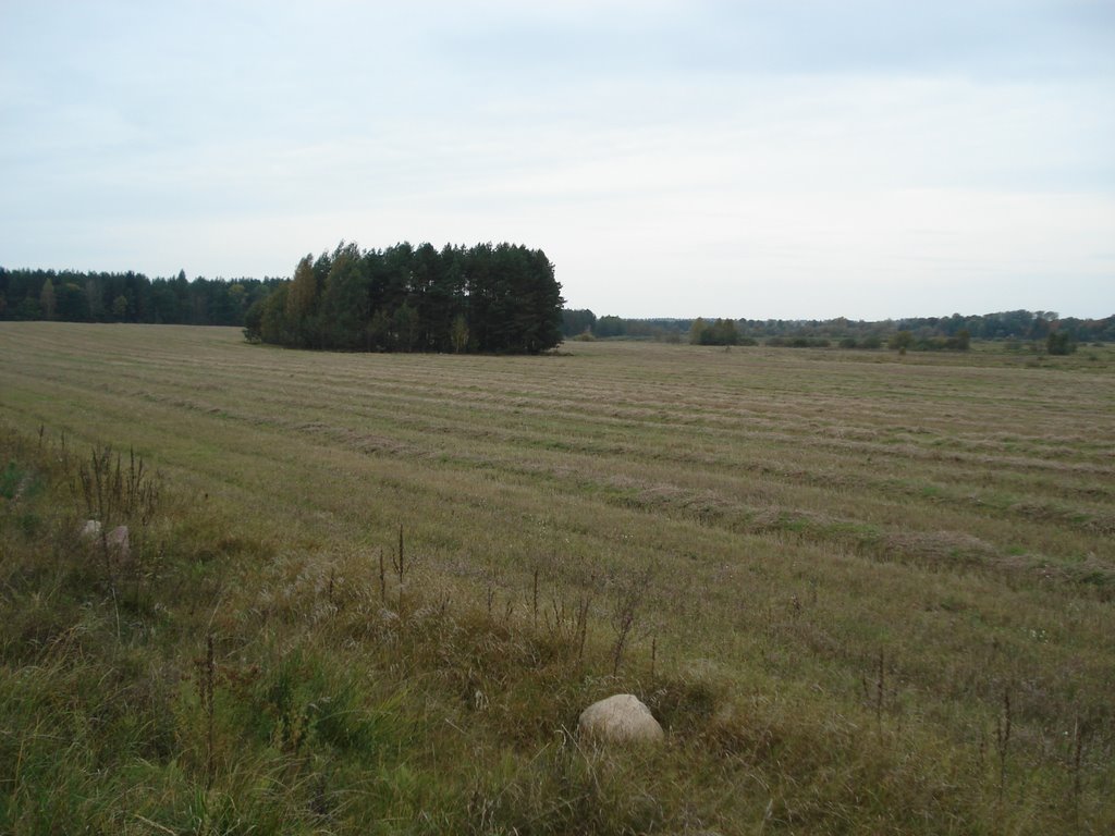 Гай