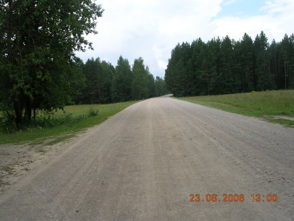 Дарога на Нізок