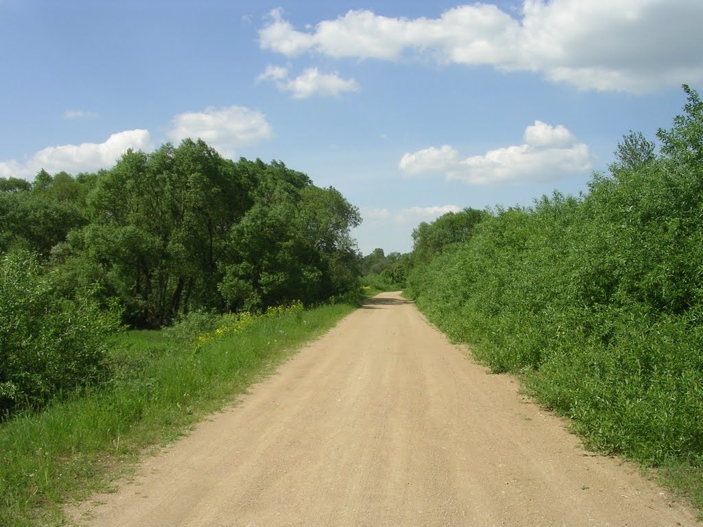 Дарога на м. Кухцічы
