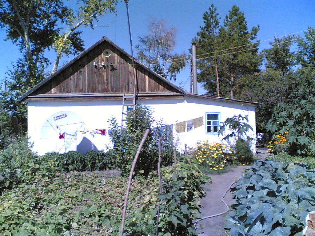 дом в зеленовке