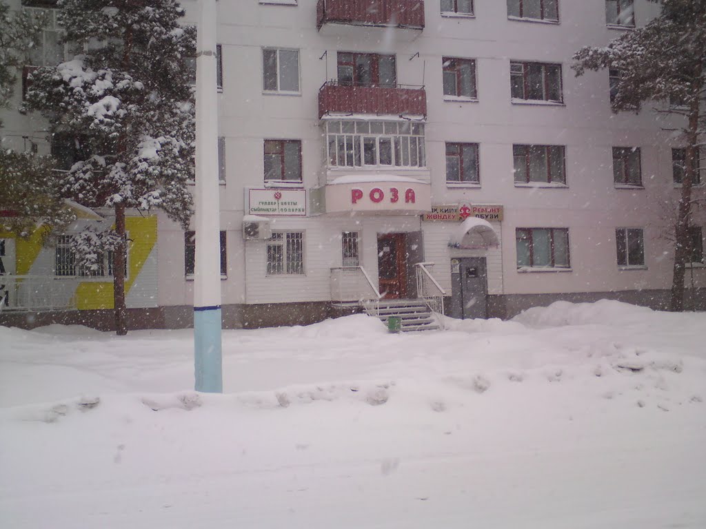 м-н Роза