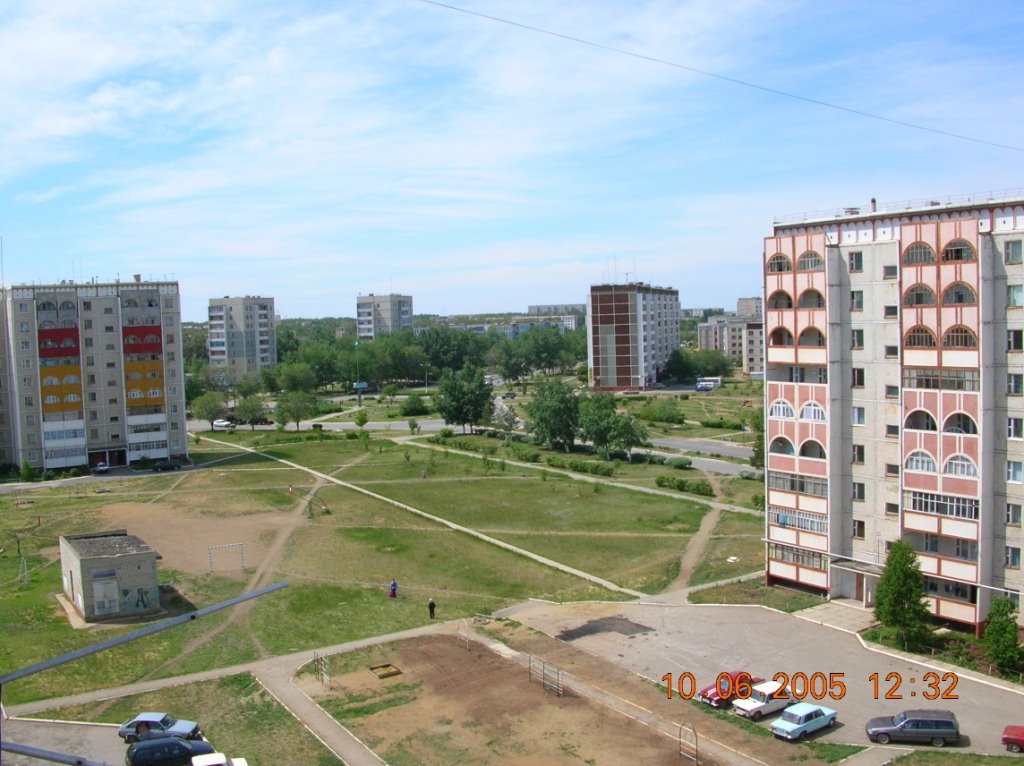 My yard
