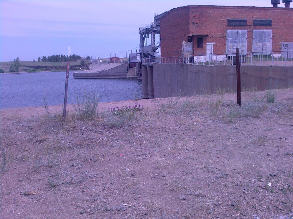Bridge