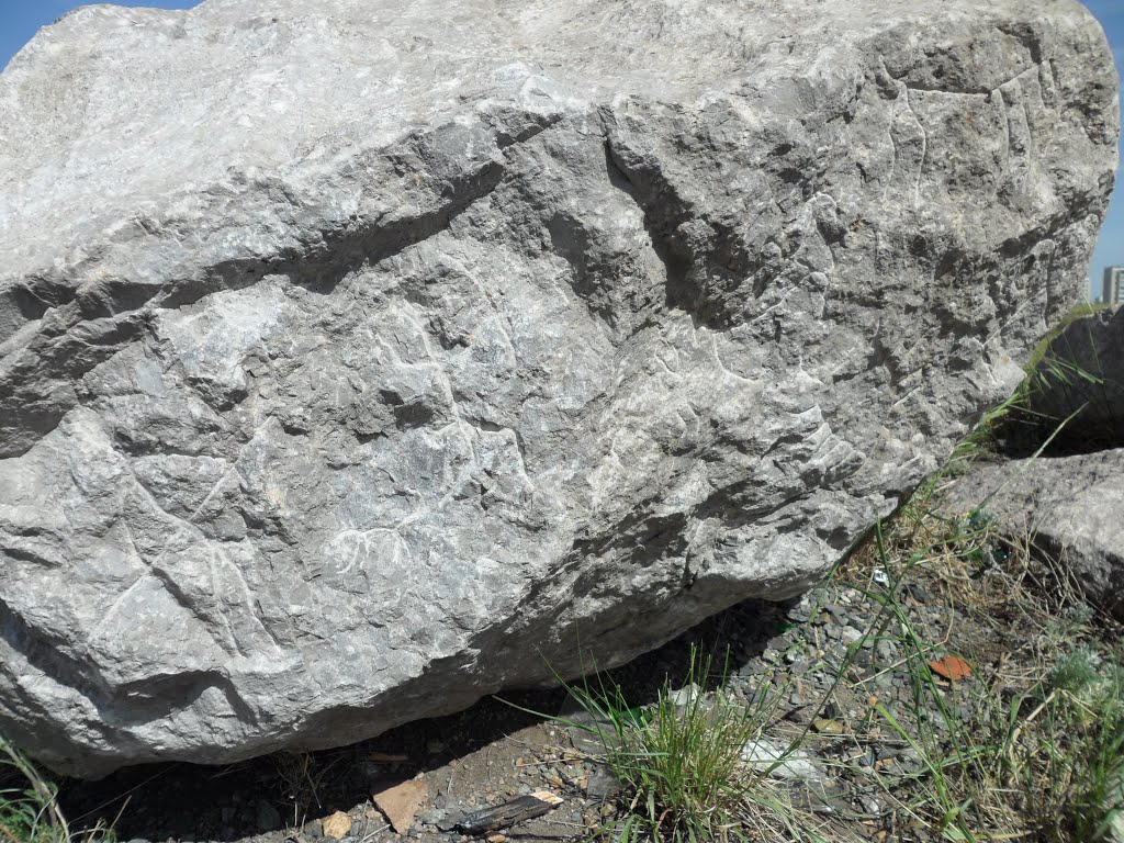 Камни