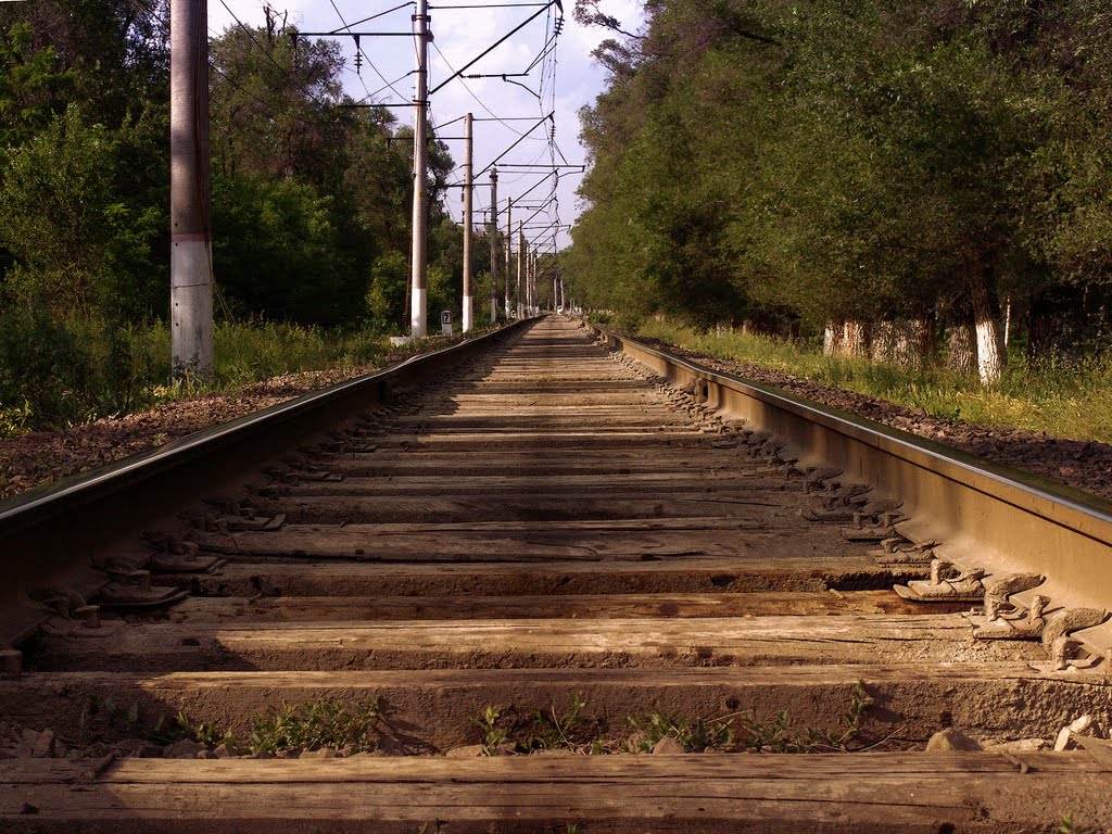 железная дорога возле рощи Баума / Railway near groves Bouma