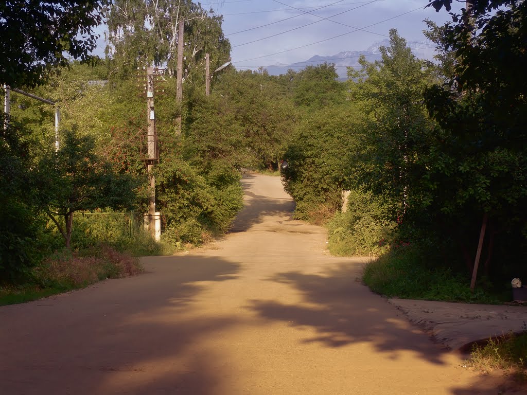 Грома-Папанина, лето 2009