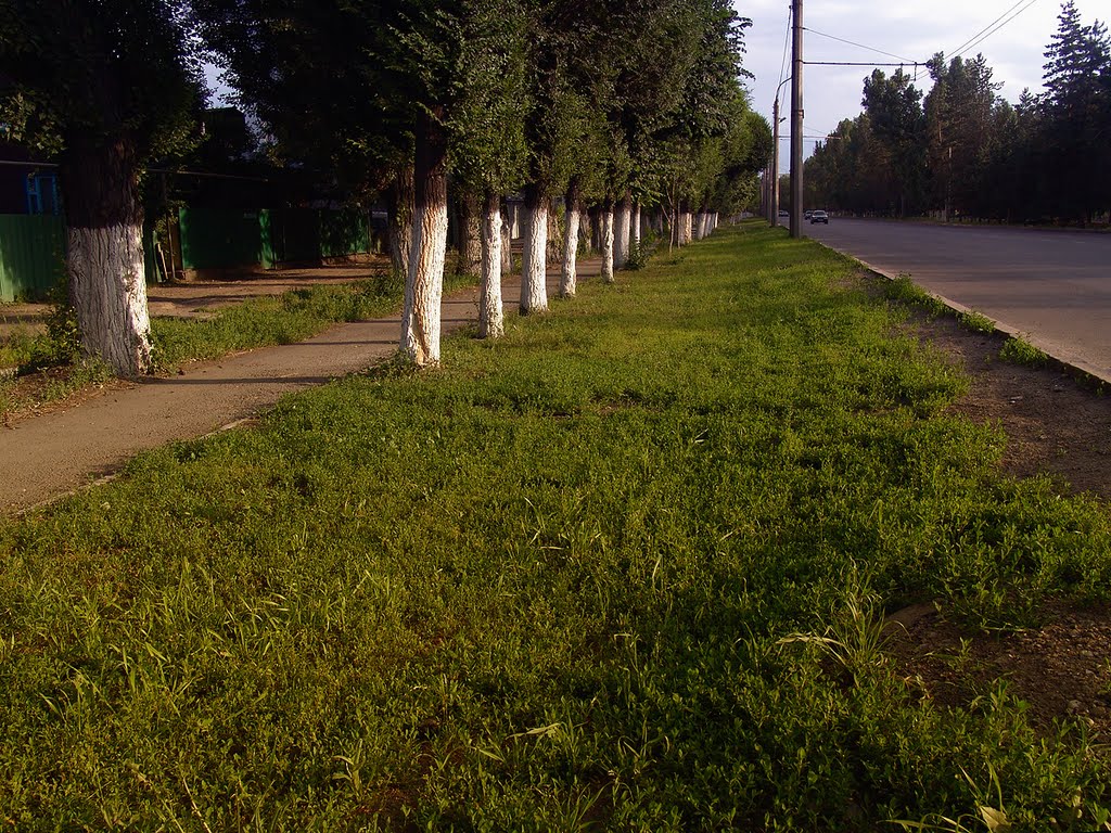 Суинбая - Громова