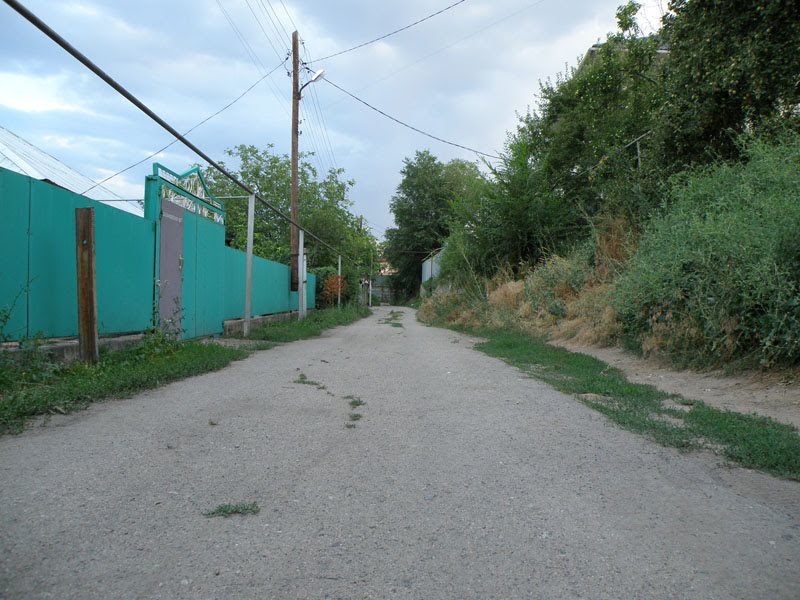 Сазановская