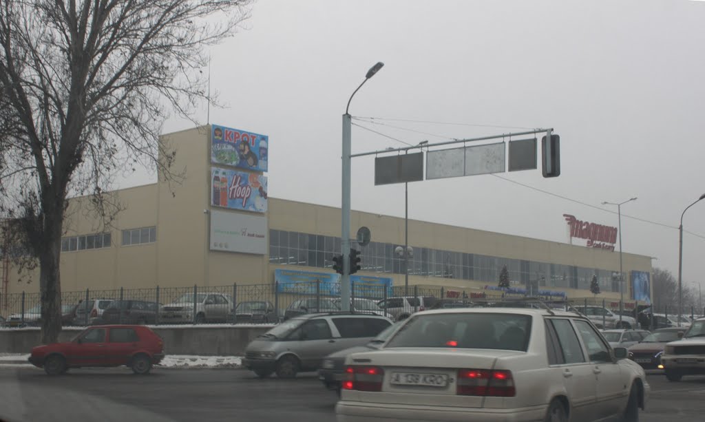 Рыскулова-Жангильдина,Magnum