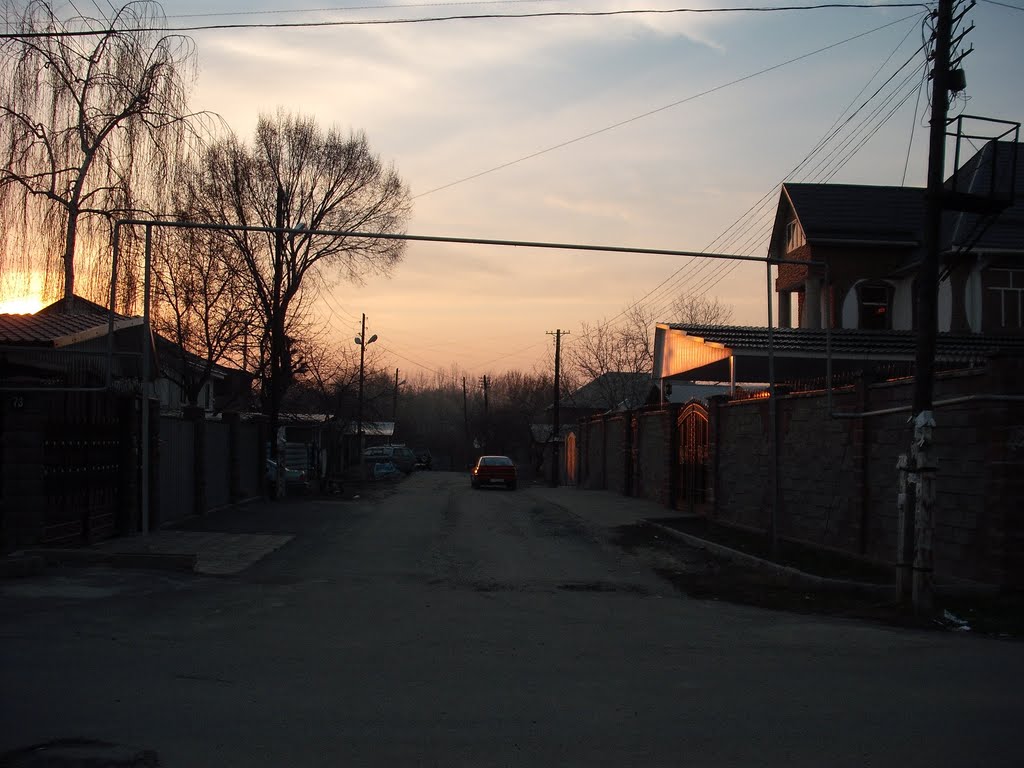 Джапаридзе Закат
