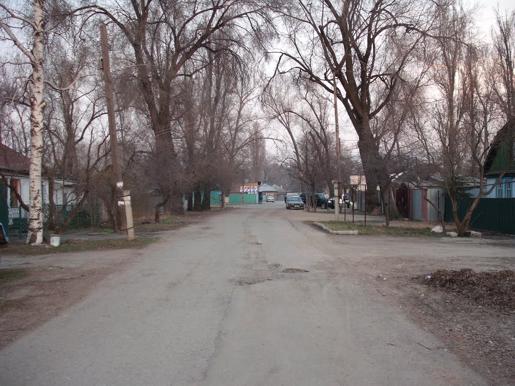 Джапаридзе