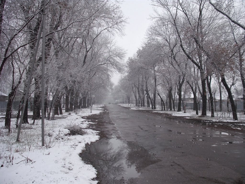 Майбороды вид восток
