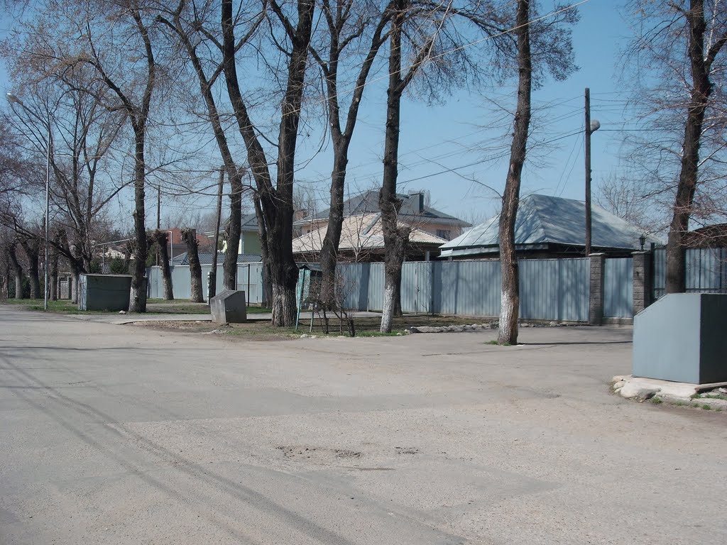 дома на Майбороды