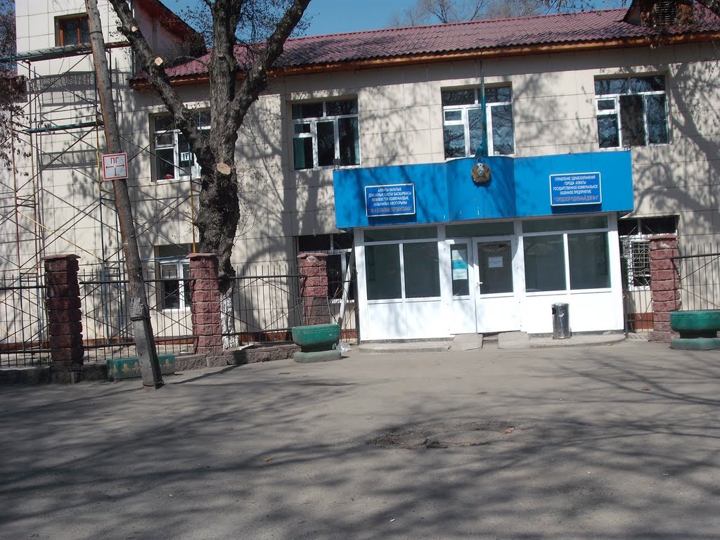 Родилиный дом №4