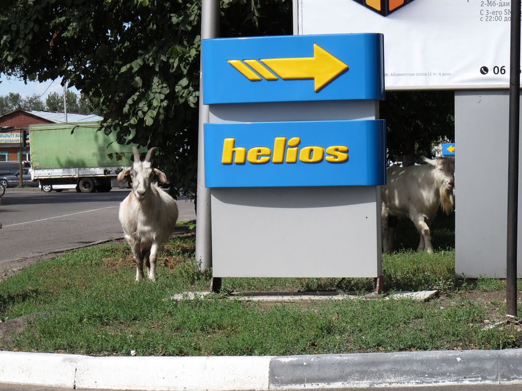 Helios