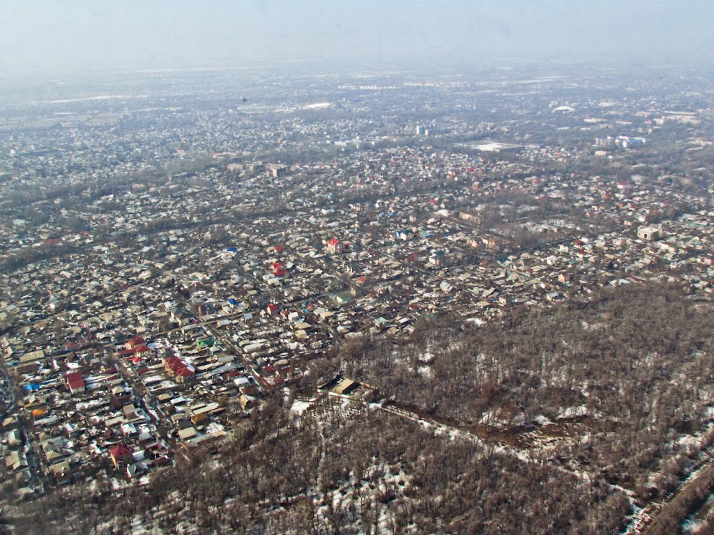Almaty, Turksib district, Baum Grove, view from airplane / г. Алматы, Турксибский район, Роща Баума, вид с самолёта