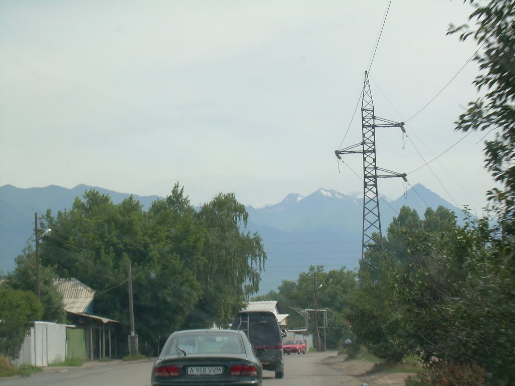 ул Шемякина
