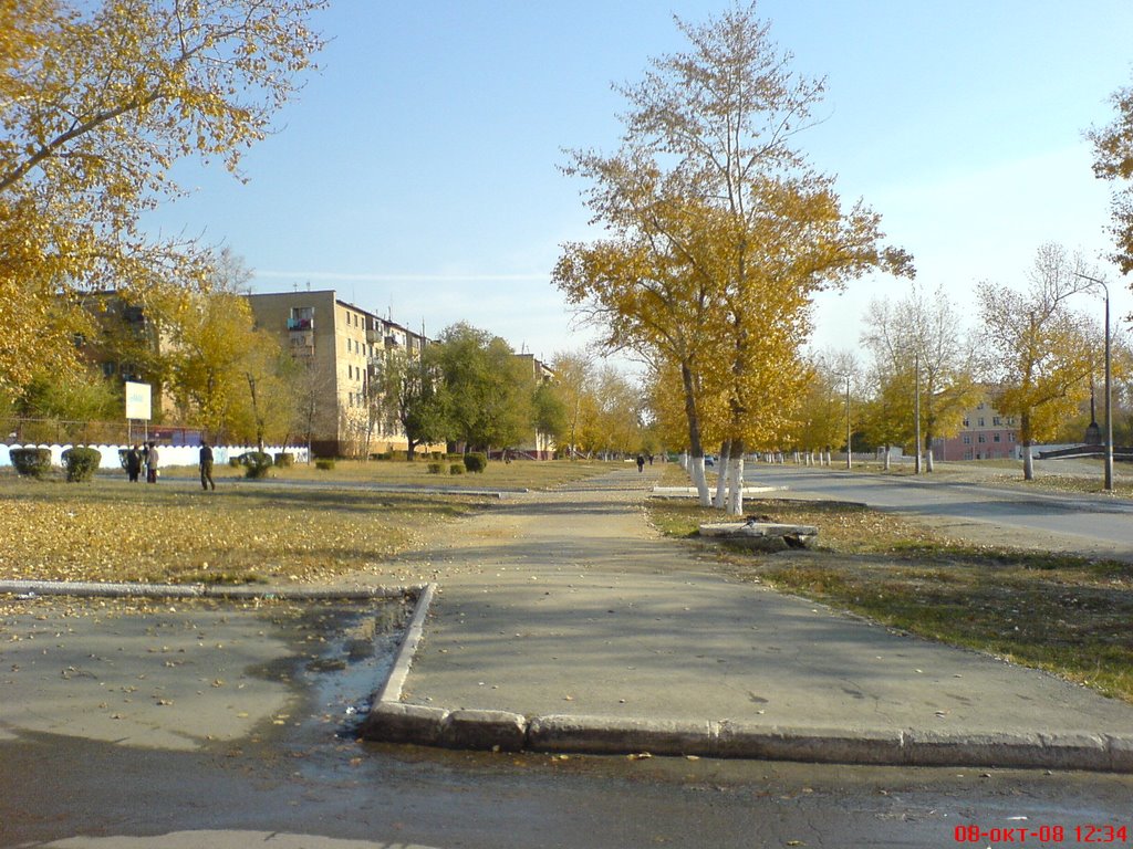 ул. Парковая  возле АРГУСа