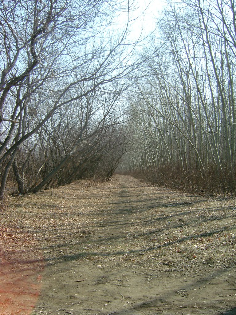 Парк ранней весной