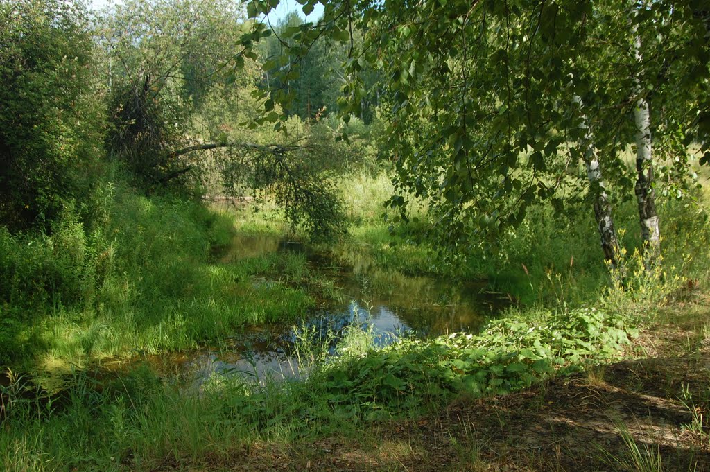 near kurgan
