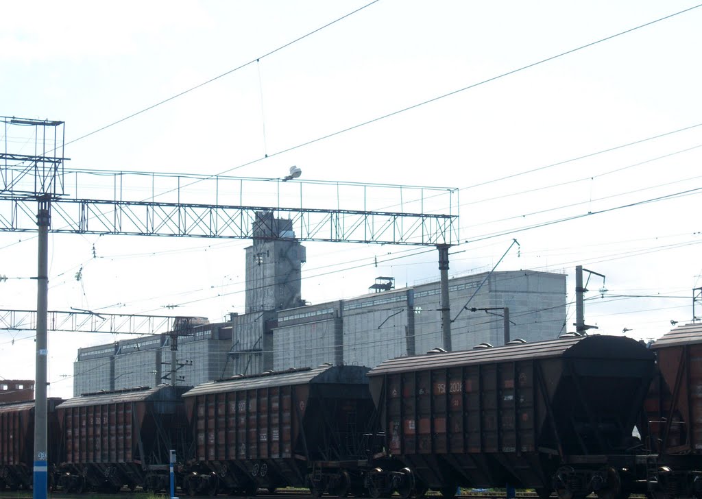 Элеватор