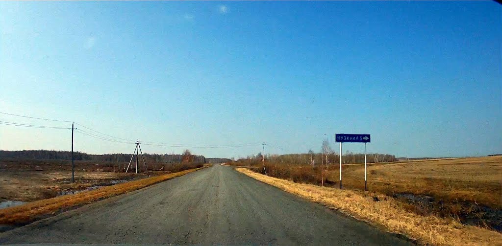 Указатель на Кузинку