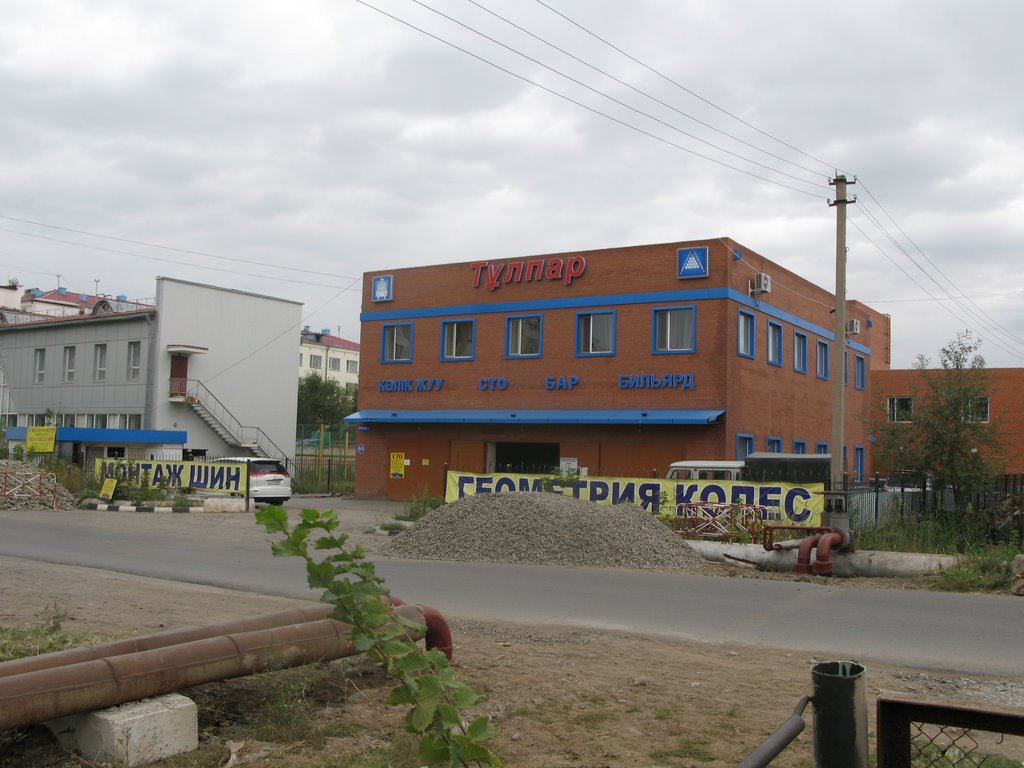 СТО "Тулпар"