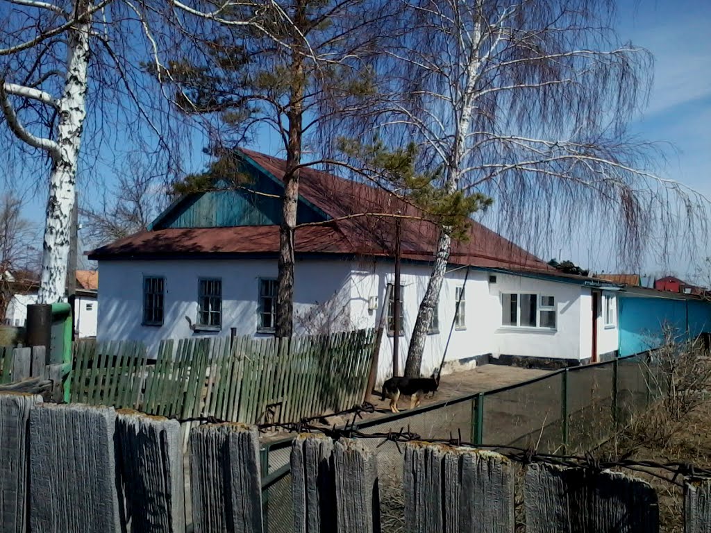 Дом.