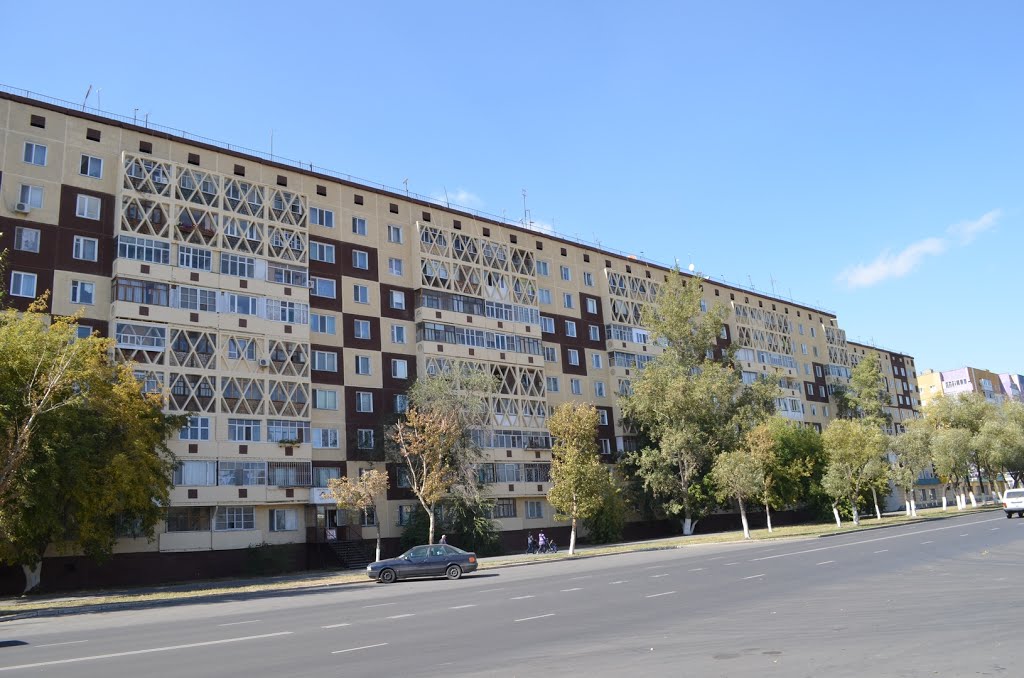Камзина 58