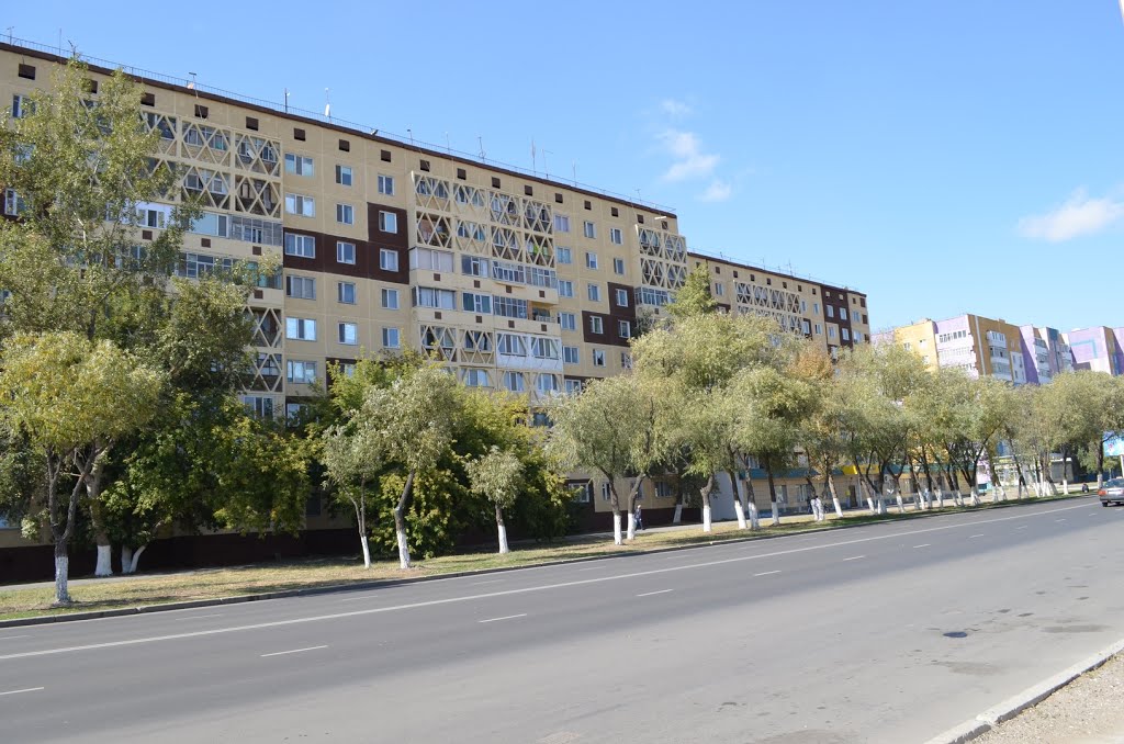 Камзина 58