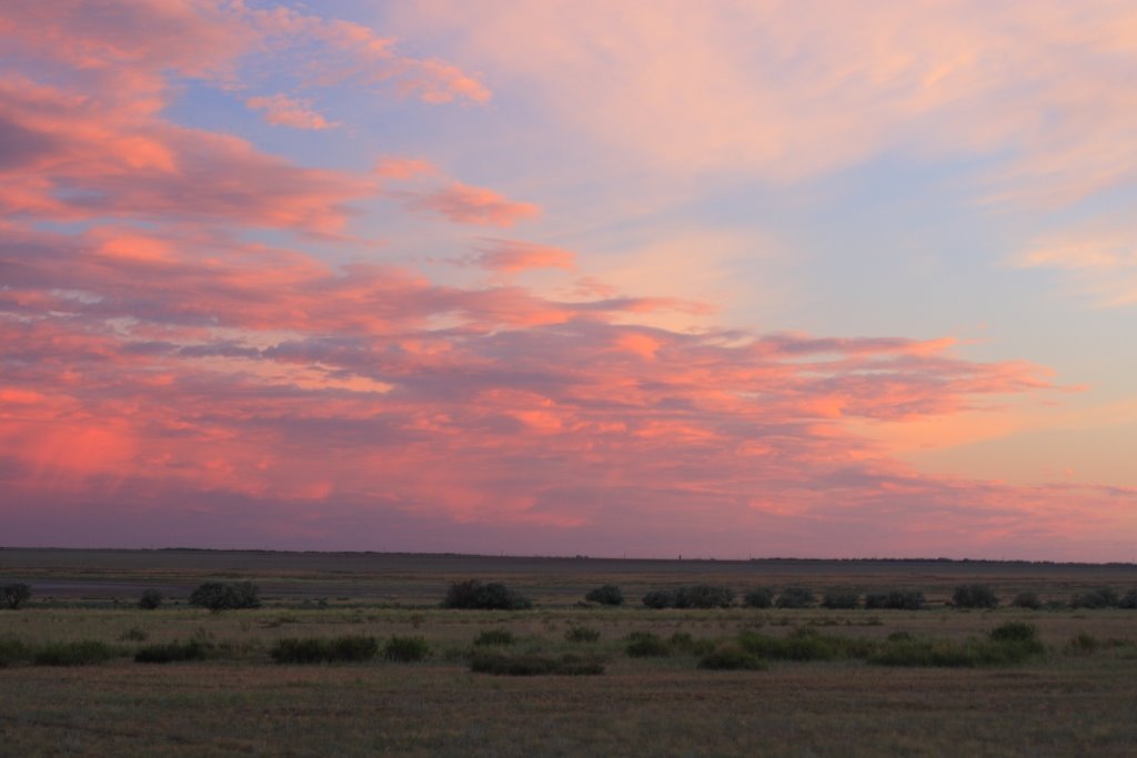 Sunset at steppe.