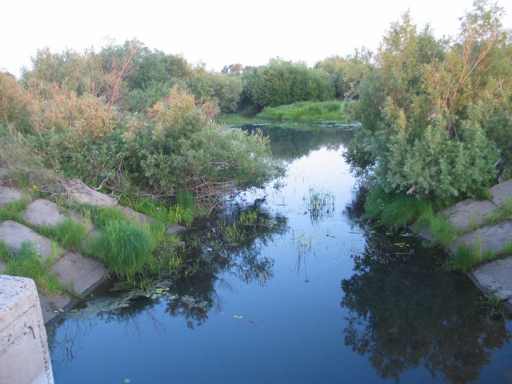 selo Zarya, 2-y Schluz
