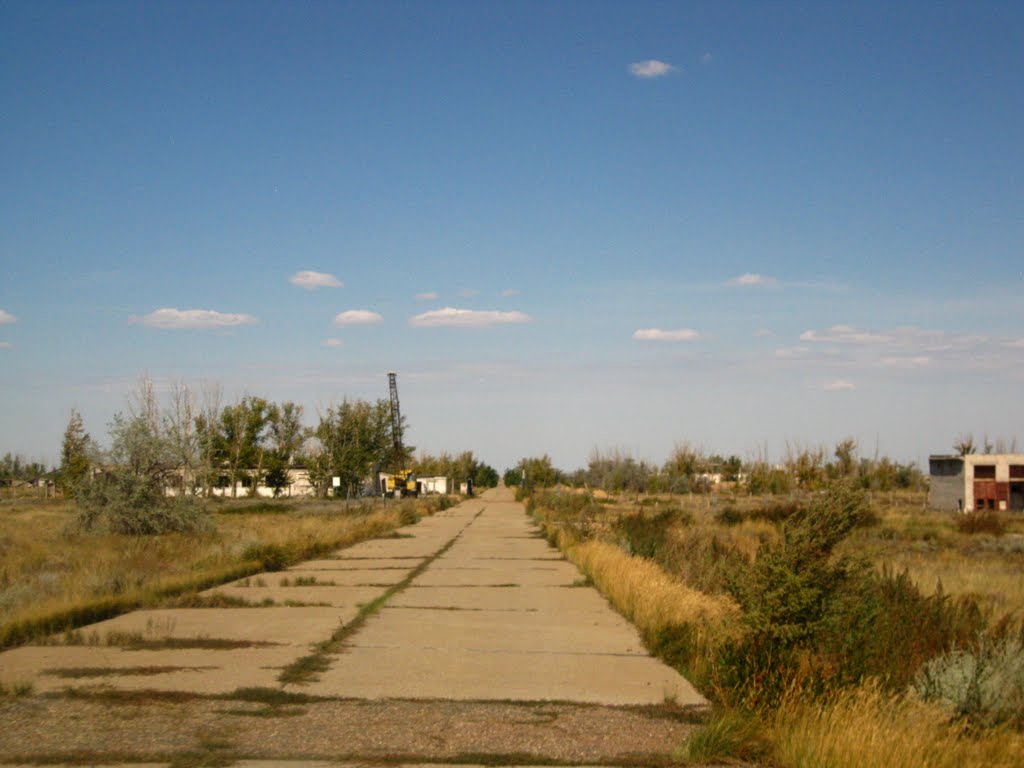Site 5