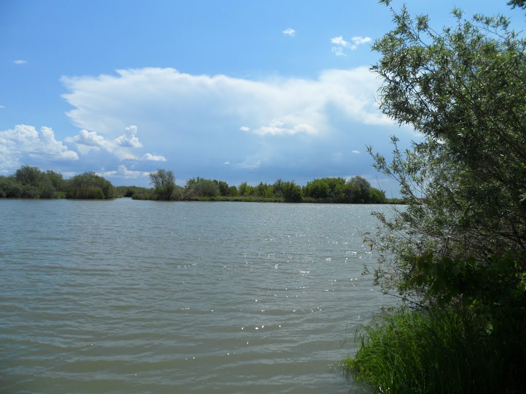 Река белая