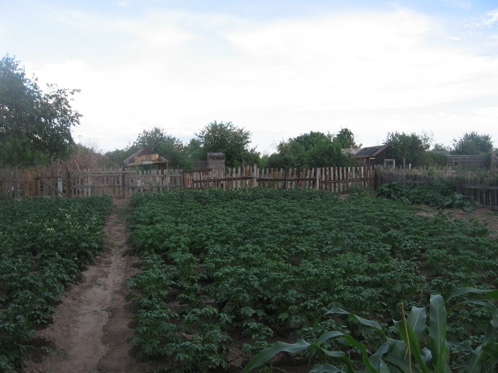 Cottages
