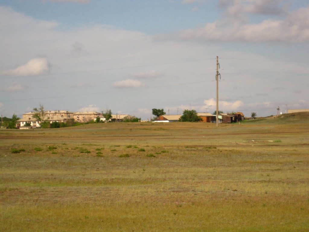 Maikayyn