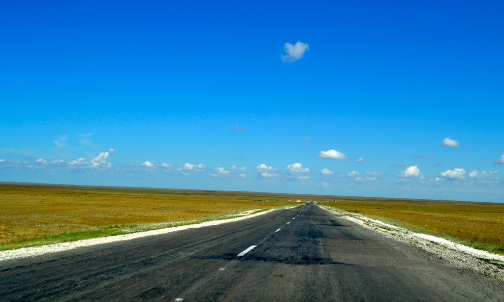 дорога 2013_08_03