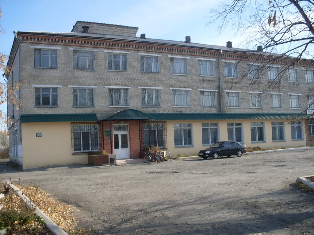 Хирургия (Surgical branch)
