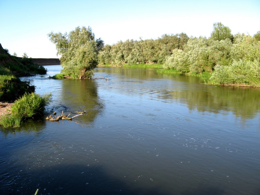 Излучина