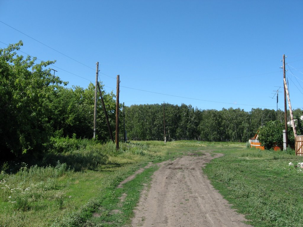 с. Речное, ул. Мира