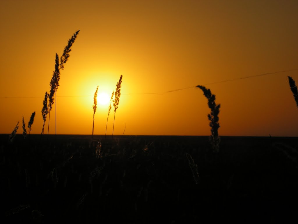 Decline in steppe,закат в степи