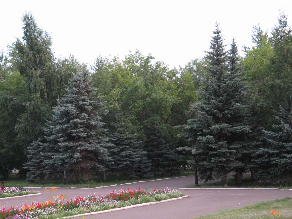 Площадь у ОКЦО