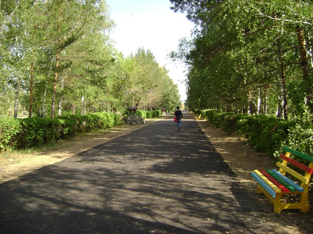 Улица Победы. (Ленина)