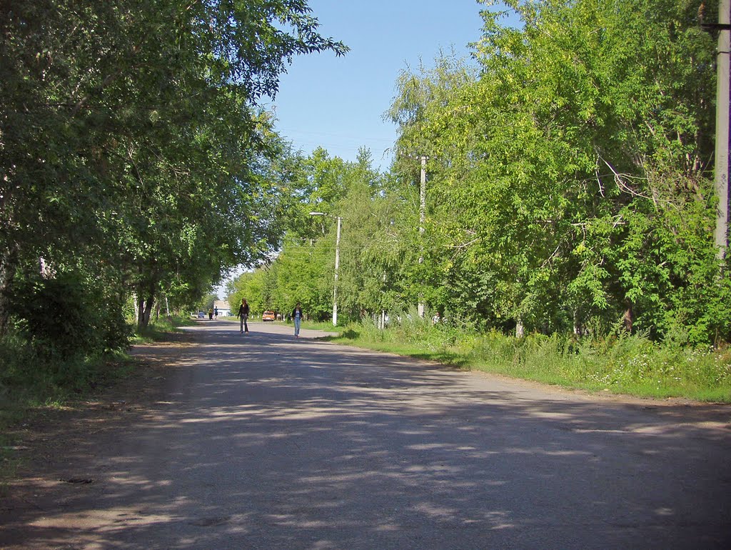 улица Русской Березки