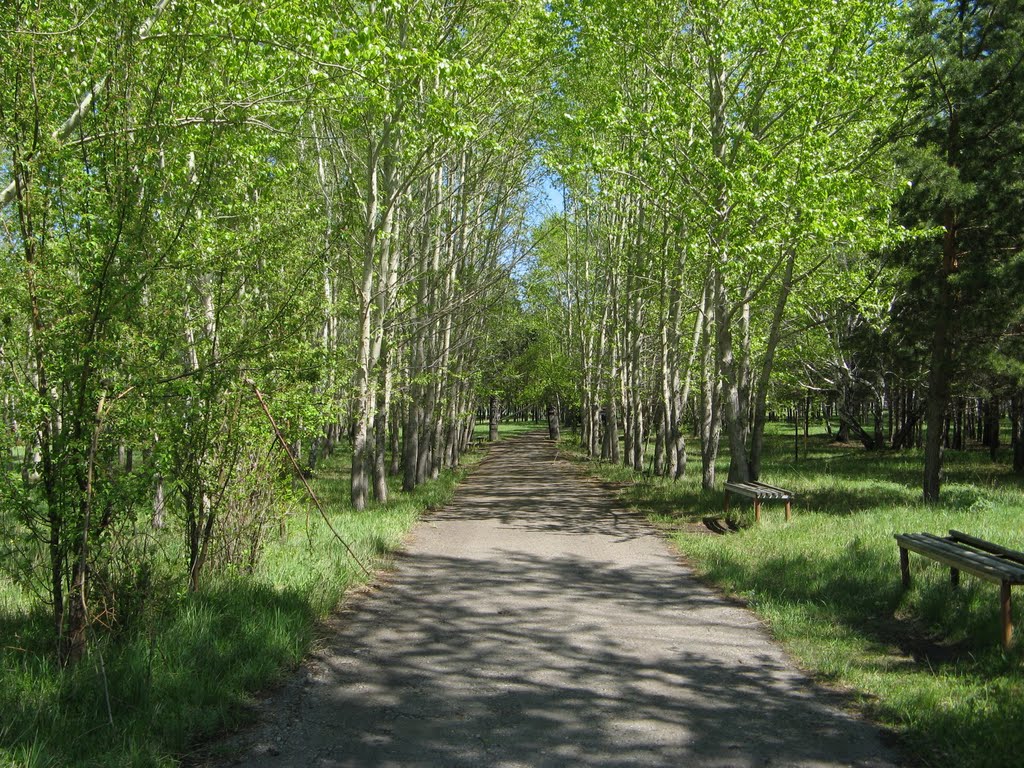 Аллея