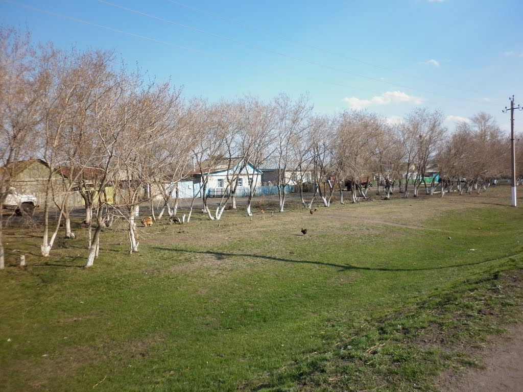 ул. Мира
